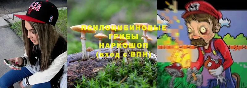 MEGA зеркало  Азов  Галлюциногенные грибы MAGIC MUSHROOMS 